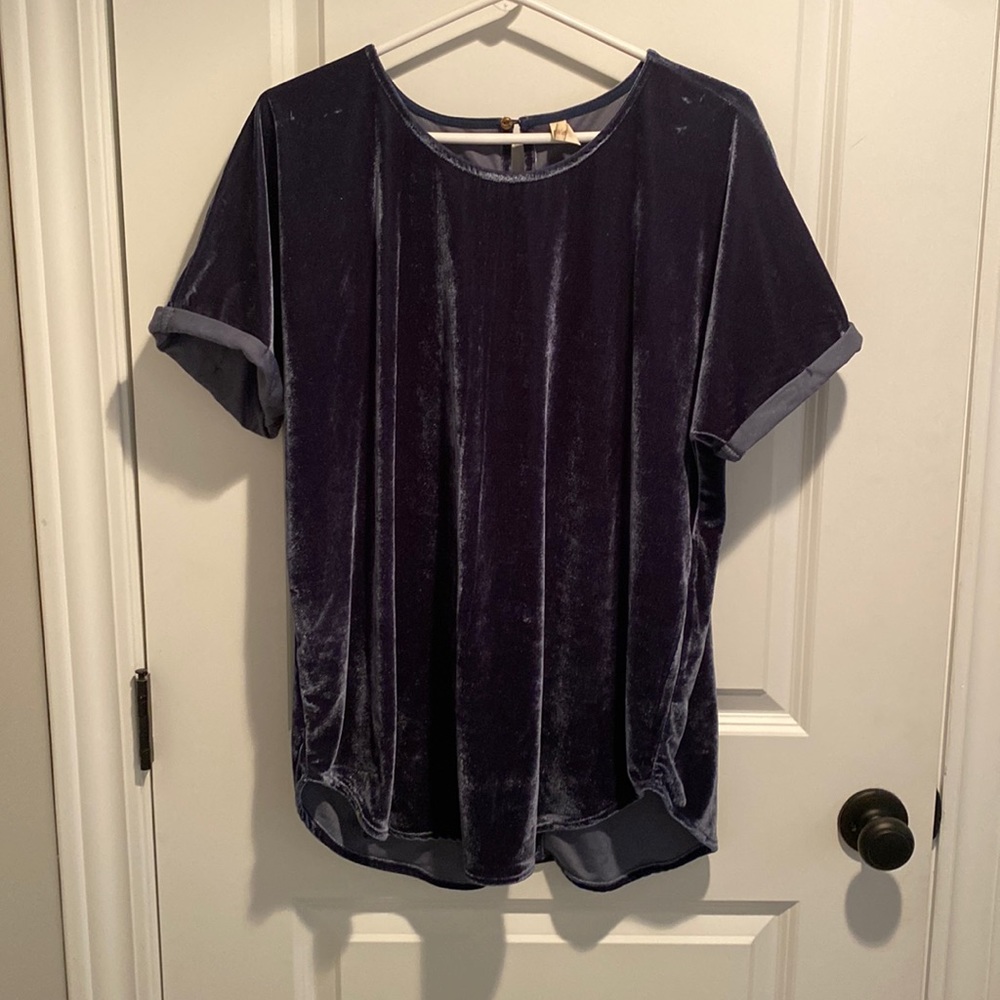 Blue Velvet Top L